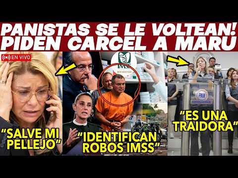 Se VOLTEAN panistas! Piden CARCEL para Maru Campos por TRAIDORA. Sheinbaum NO DESCARTA su detención