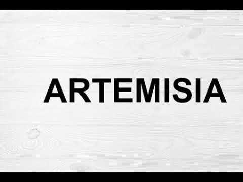 How To Pronounce Artemisia