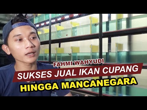 Fahmi Wahyudi Sukses Jual Ikan Cupang Hingga Mancanegara