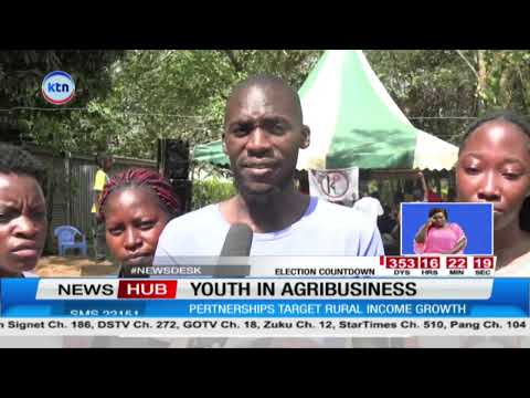 Kenyan youth urged to embrace agriculture for jobs and income