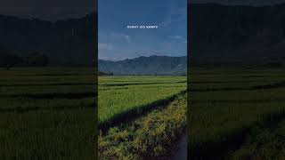 Download lagu WES LALEKKE KABEH KENANGAN SING TAU ONO STORY WA II STATUS WA mp3