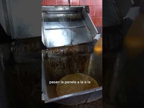Proceso de la panela en Santana y San José de pare (Boyaca). Video de prueba.