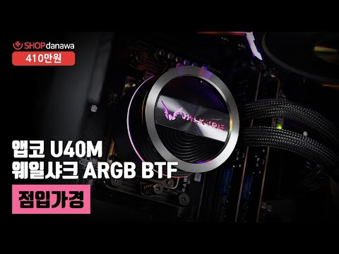 점입가경 | 라이젠 9 9950X3D + RTX 5060 Ti + 앱코 U40M 웨일샤크 ARGB BTF + 발키리 GL360 ARGB [샵다나와 조립컴퓨터]
