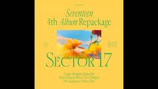 Download lagu SEVENTEEN - FALLIN' FLOWER (Korean Version) [Audio] mp3