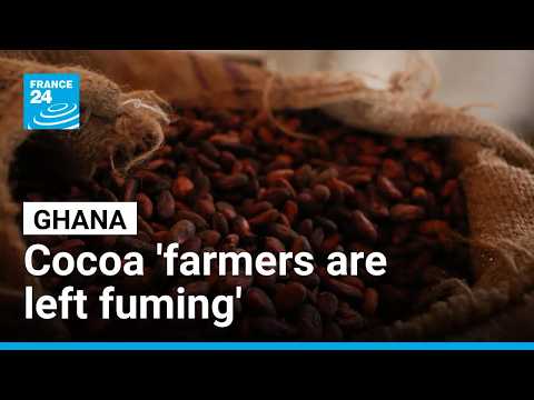 Ghana's cocoa farmers at risk of 20-year prison sentence under new legislation