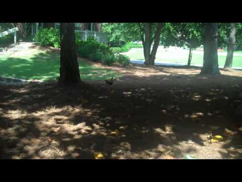 Spring (Love) Is In the Air