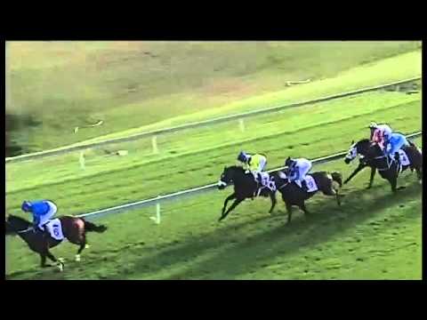 2016.04.30 S A Derby - Abashiri