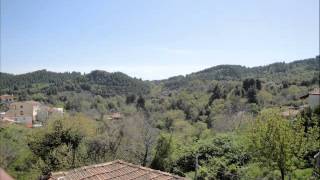 magic mushroom band-magick eye