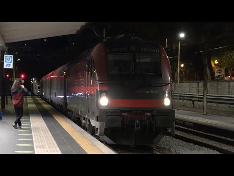 2022/11/11 Trenitalia: EuroCity, Hauled by ÖBB 1216 017 at Trieste Centrale