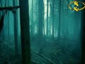I Know What You Are - Carter Burwell 