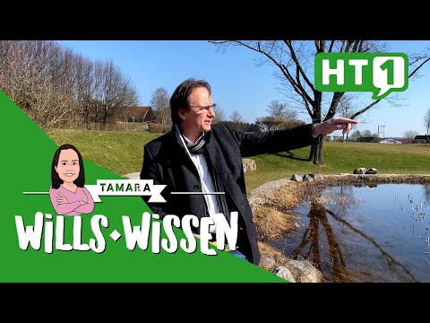 GALLSPACH: Biologischer Wasserspaß| baden | Natur | Gallspach | Naturbad