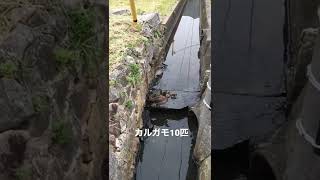 2022年6月19日