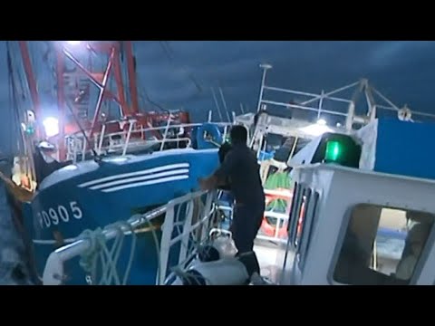 French And British Fishermen Ram Boats Over Shellfish In Aptly Named 'Scallop Wars'
