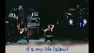 Download lagu Bon Jovi - It's My Life (slow) mp3 Download lagu Bon Jovi - It's My Life (slow) mp3