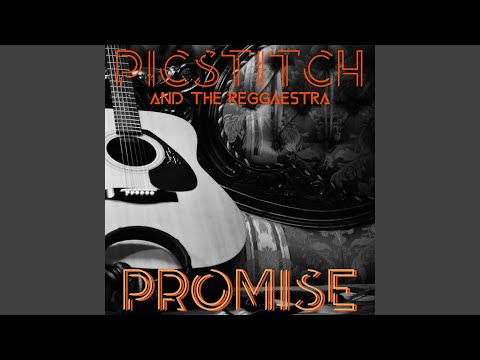 Promise dub (feat. Reggaestra)