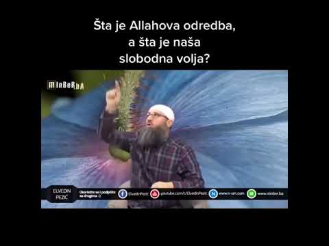 Šta je Allahova odredba, a šta je naša slobodna volja?