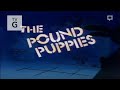 CN Telecast Emulation Custom ECP And Pound Puppies On Dec 2016 CN 1080p HD 60fps