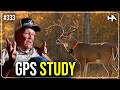 40 Year Deer Biologist How Mature Bucks Avoid Human Pressure