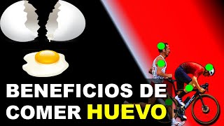 BENEFICIOS DE LOS HUEVOS SEGÚN LA CIENCIA │ Un super alimento para tu rendimiento deportivo