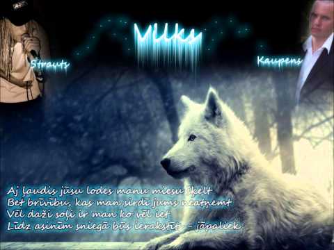 Strauts & Kaupens - Vilks