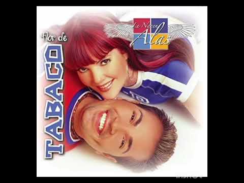 Perdoname - Flor De Tabaco