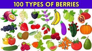 Discover 100 Delicious And Colorful Berries You Didn't Know Exists | 100 Real And Botanical Berries