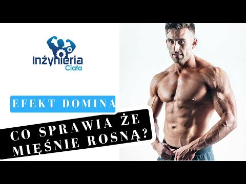 Ćwiczenia ze sztangą na najszerszego grzbietu Lewisia wyodrębnić w kulturystyce, ile podjąć