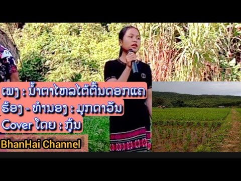 ນ້ຳຕາໄຫລໄຕ້ຕົ້ນດອກແຄ | ຮ້ອງ ມຸກດາວັນ | Cover by ກູ້ນ  | น้ำตาไหลไต๋ต้นดอกแค | กุ้น