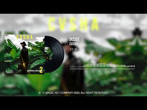 CVSHA - INSIDE (Official Audio Visualizer) 2023