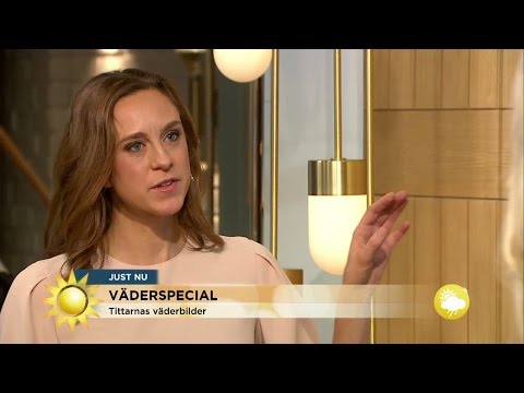 Mildluften håller i sig: "Det är några grader varmare än normalt" - Nyhetsmorgon (TV4)