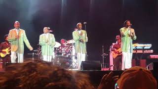 Stone in love with you--the Stylistics