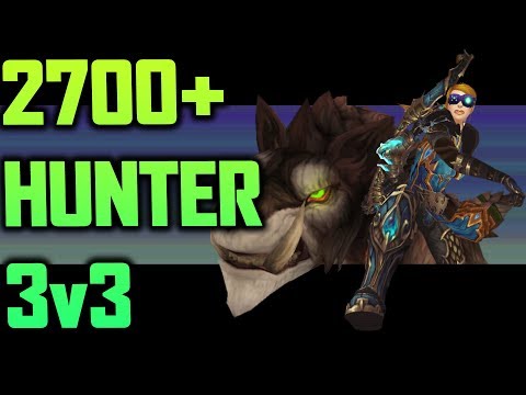 2700~ Marksmanship Hunter 3v3 Arena #16