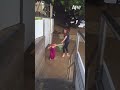 Went Through A Wave Of Emotions With This One Afv Funnyvideos Shorts