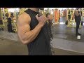 Back & Arms Workout @hodgetwins