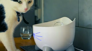 Catit Pixi : Test et Avis
