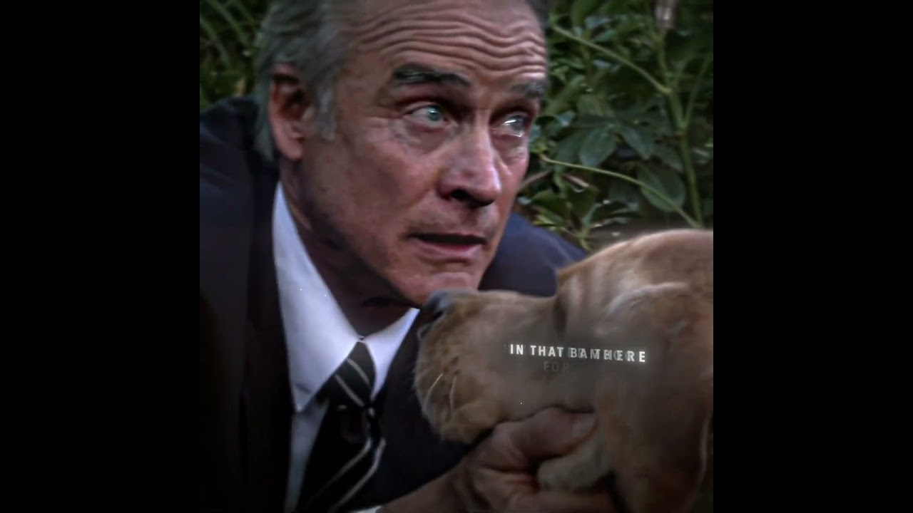 Day 72: Vincent || #vincentlost #vincentthedog #vincentlostedit #lostedit