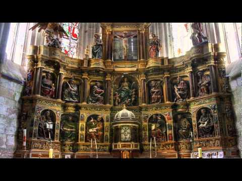 Evangelio del dia 22 de Julio de 2011