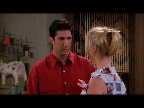 Friends - Phoebe and Ross with the Theory of Evolution