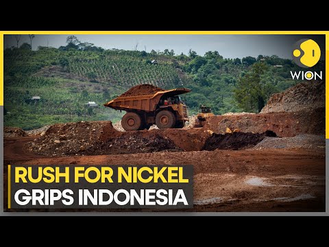 Indonesia: Farmers fights for land rights | WION Climate Tracker