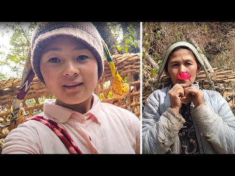 Carrying firewood With my Mom & The buffalo is milked | Samita Vlog | Kedar Rai | Rural Nepal