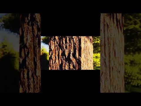 Beyond Reality Minecraft RTX 4090 Shaders Showcase!