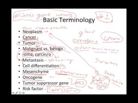 Introduction to Cancer