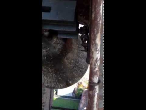 Campane a Slancio, di Villanova Marchesana (RO)