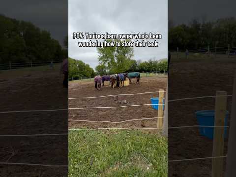 Video: Gator Magnetics Magnetic Hooks for Horse Tack & Barn Organization video thumbnail