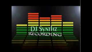 Dj Synthz-Painshock
