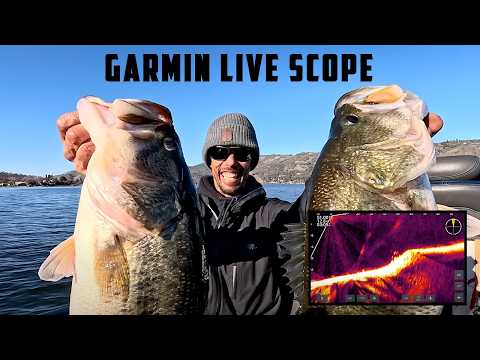 You Can Actually See the Bass Hit – How to LiveScope Fish with Big Bait Bailey