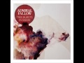 Admiral Fallow - Old Fools 
