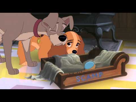 Trailer-Vorschau: Susi und Strolch 2: Kleine Strolche - Großes Abenteuer!