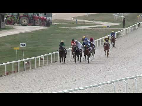 2021.04.04. 02. futam - NYERETLENEK VERSENYE (V.kat.) (szintetikus pálya)