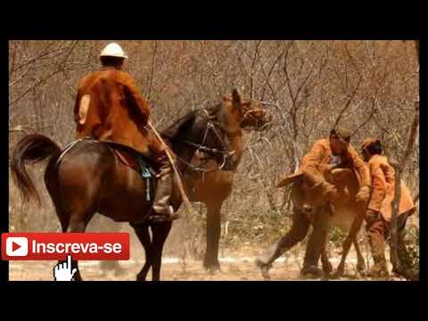 Toada vaca  divertida ft:alon zoa